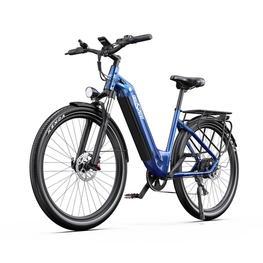 Onesport 18,2 AH 250W Motor