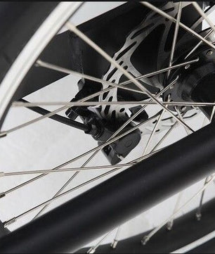 Cargokid Premium Woodie Bike