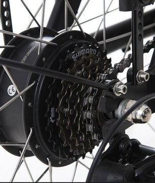 Cargokid Economy Woodie Bike