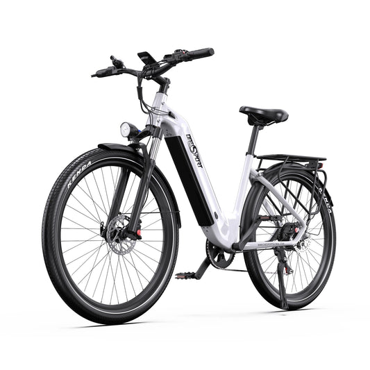 Onesport 18,2 AH 250W Motor