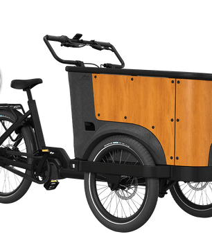 Cangoo Buckle Up El-Ladcykel Sort/Neutral