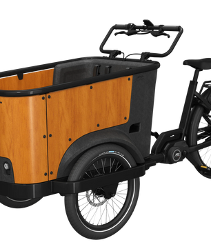 Cangoo Buckle Up El-Ladcykel Sort/Neutral