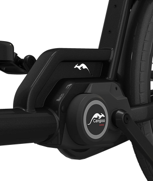 Cangoo Buckle Up El-Ladcykel Sort/Neutral