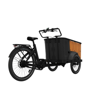 Cangoo Buckle Up El-Ladcykel Sort/Neutral