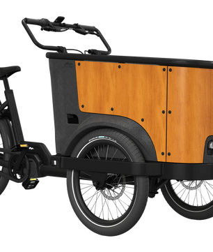 Cangoo Buckle Up El-Ladcykel Sort/Neutral