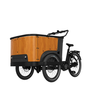 Cangoo Buckle Up El-Ladcykel Sort/Neutral