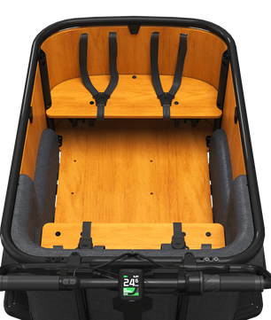 Cangoo Buckle Up El-Ladcykel Sort/Neutral