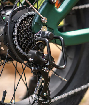 ENGWE EP-2 3.0 Boost