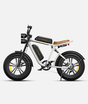 ENGWE M20