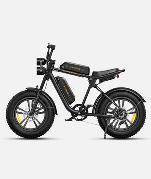 ENGWE M20