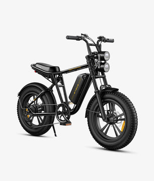 ENGWE M20