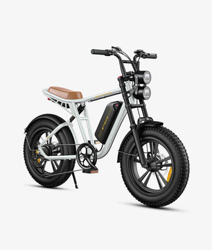 ENGWE M20