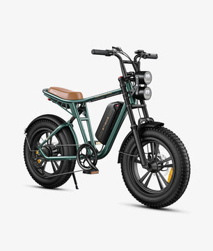 ENGWE M20