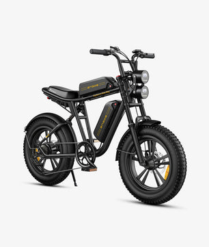 ENGWE M20