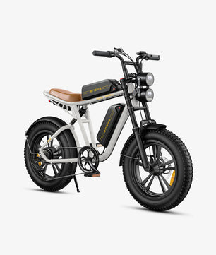 ENGWE M20