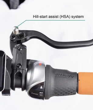 El ladcykel Mobike Curve Cruiser