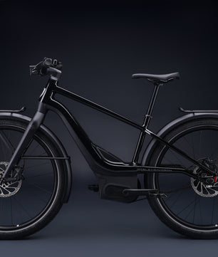 Harley-Davidson RUSH CITY