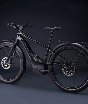 Harley-Davidson RUSH CITY