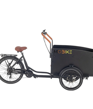El ladcykel Mobike Simple Cruiser