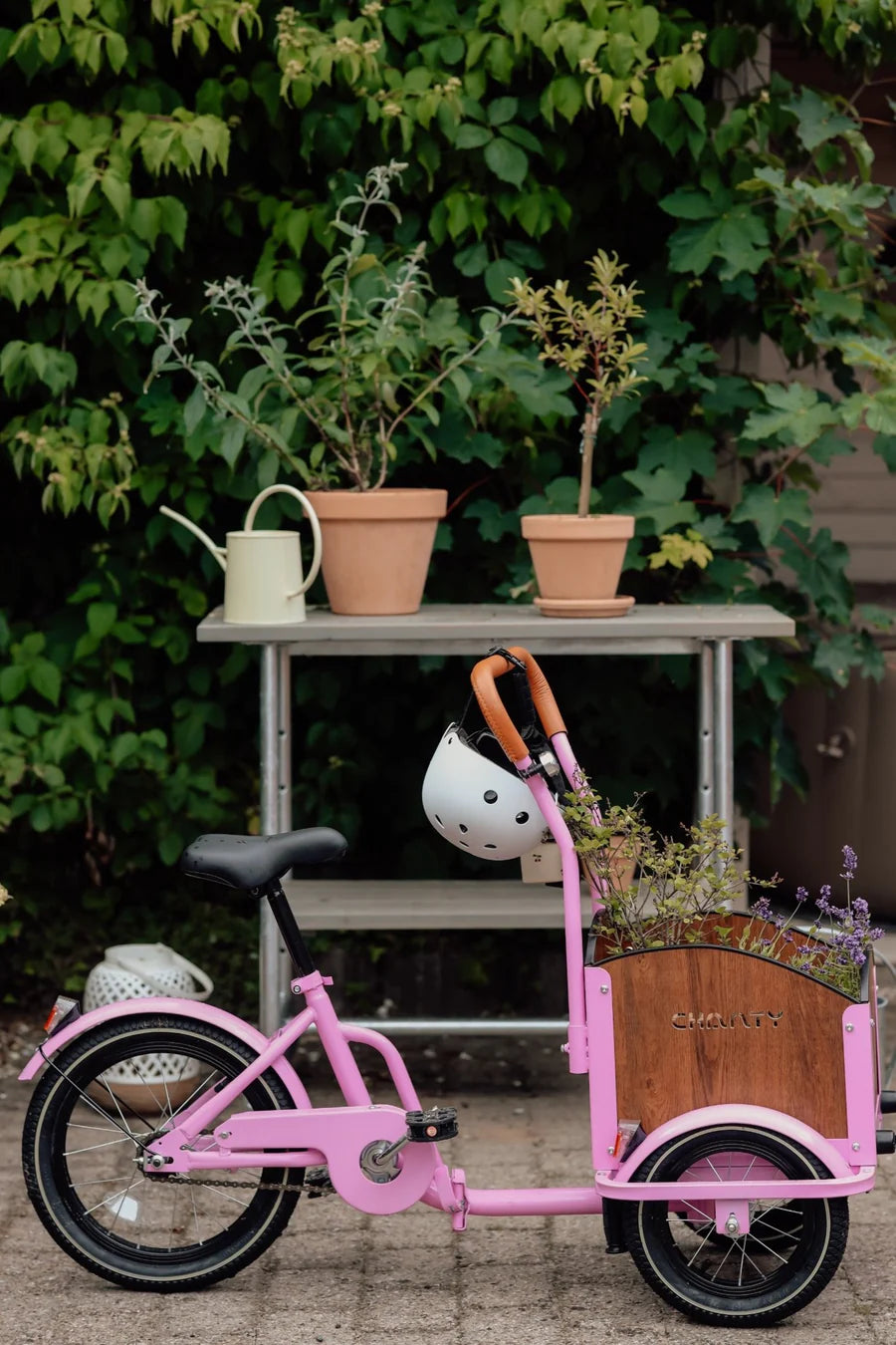 Chanty Cargo Kid - Pink