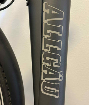 Wagner Dame Elcykel med 7 gear