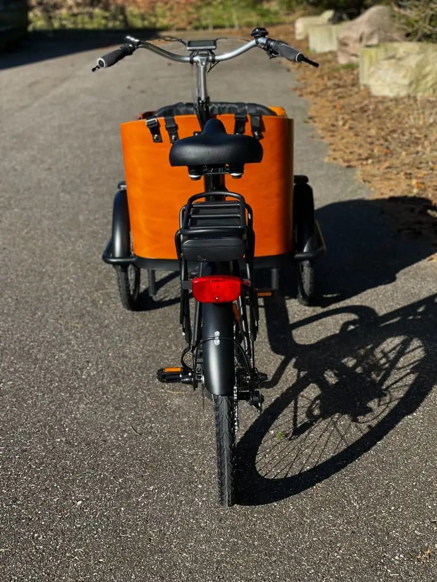 Cargokid Premium Woodie Bike