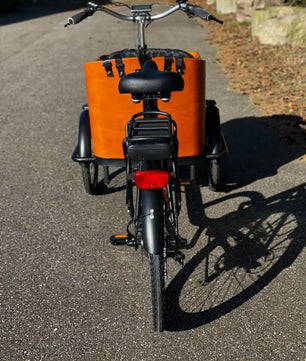 Cargokid Pro Plus Woodie Bike