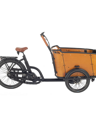 El ladcykel Mobike Curve Cruiser