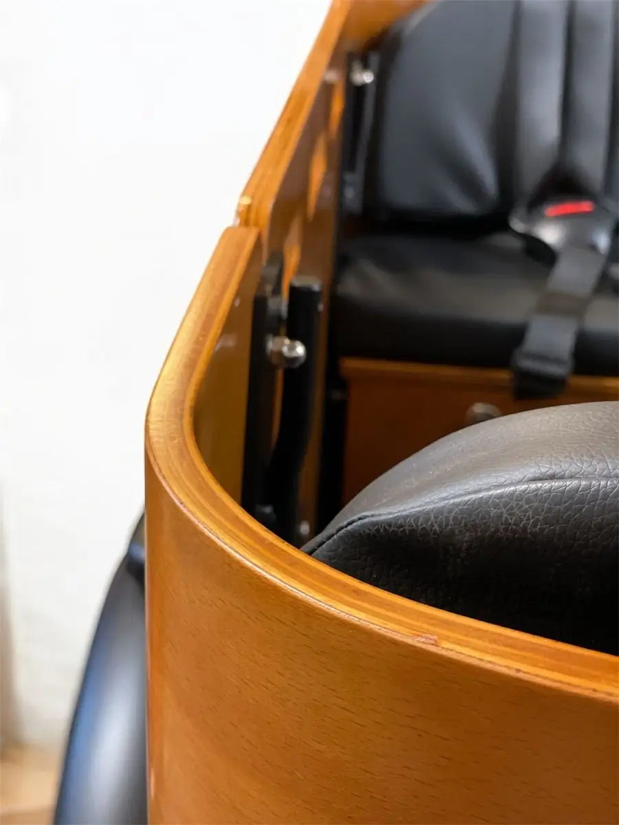 Cargokid Premium Woodie Bike