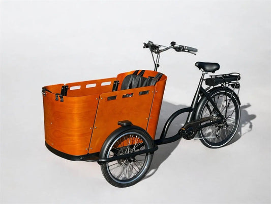 Cargokid Economy Woodie Bike